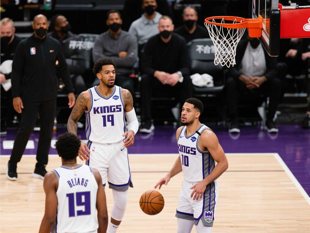 却从未停止 却从未停止