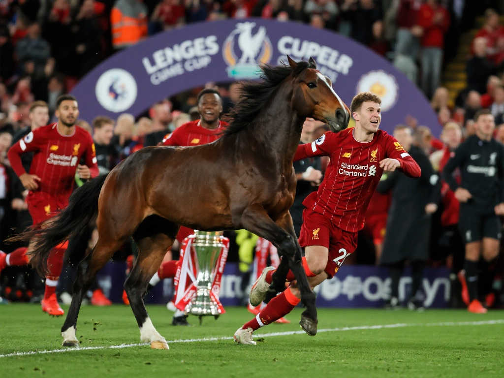 更在于整体 更在于整体